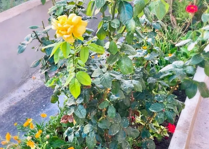 Physis Апартаменты